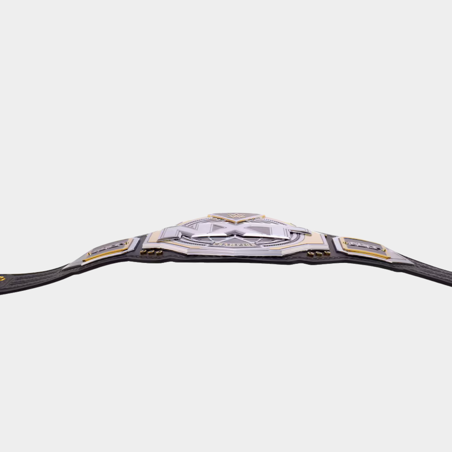 WWE NXT Championship Belt