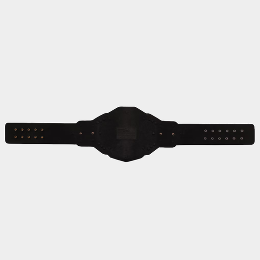 WWE NXT Championship Belt